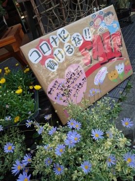 鉢物ＳＡｌＥ…｜「花の共和国」　（東京都練馬区の花キューピット加盟店 花屋）のブログ