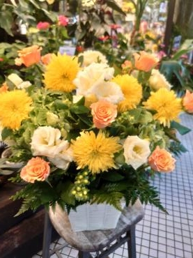 八重咲ひまわり・・・｜「花の共和国」　（東京都練馬区の花キューピット加盟店 花屋）のブログ