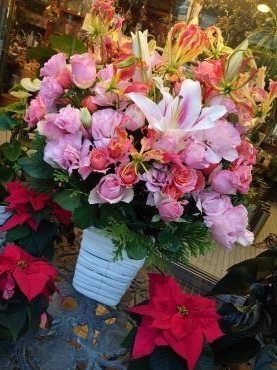 楽屋花…｜「花の共和国」　（東京都練馬区の花キューピット加盟店 花屋）のブログ