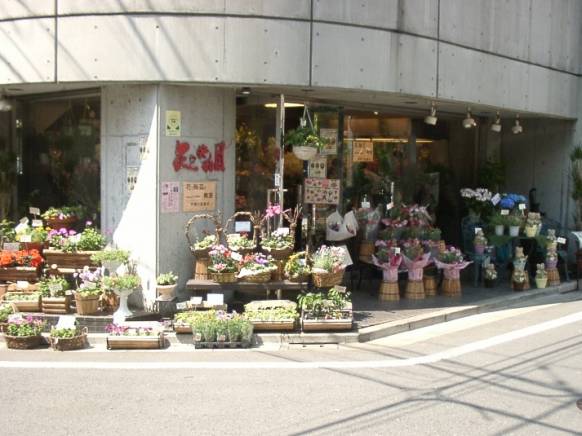 「花の共和国」　（東京都練馬区）の花屋店舗写真1